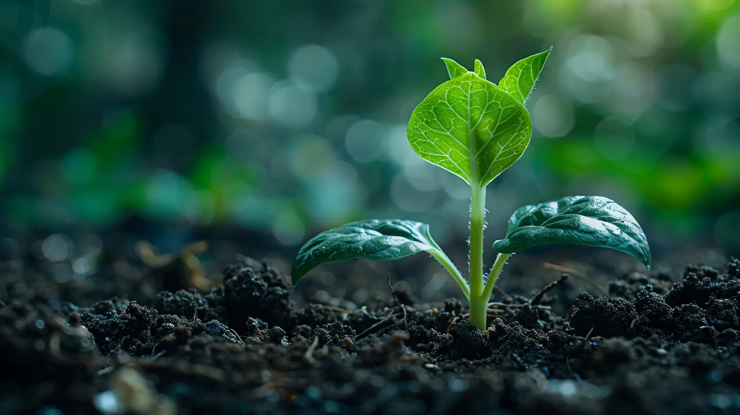 Avoiding Common Mistakes When Raising Seed Capital