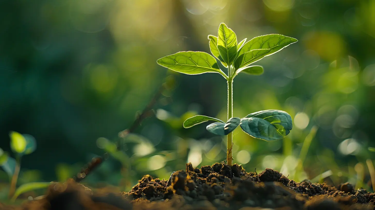 Avoiding Common Mistakes When Raising Seed Capital