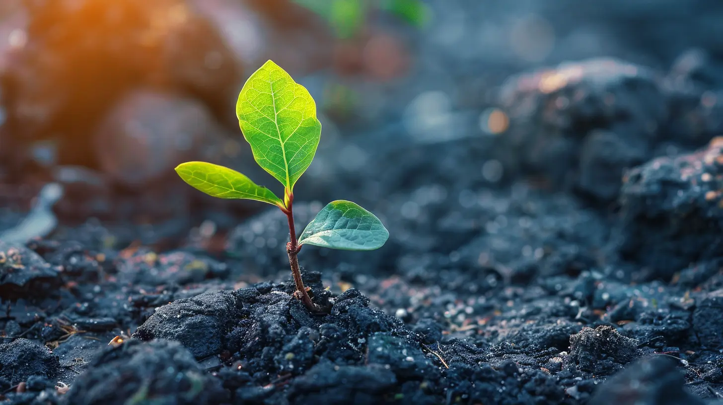 Crowdfunding for Startups: What You Need to Know