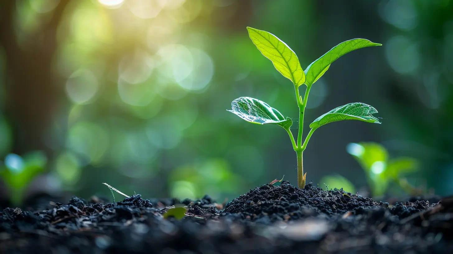 Demystifying Series A, B, and Beyond: Understanding Funding Rounds