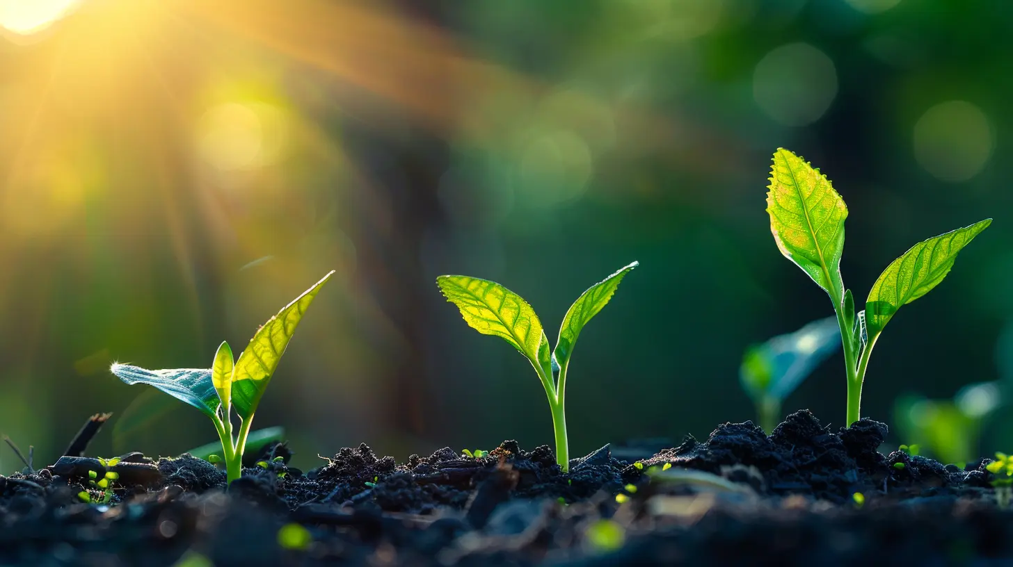 Essential Tax Deductions You May Be Overlooking