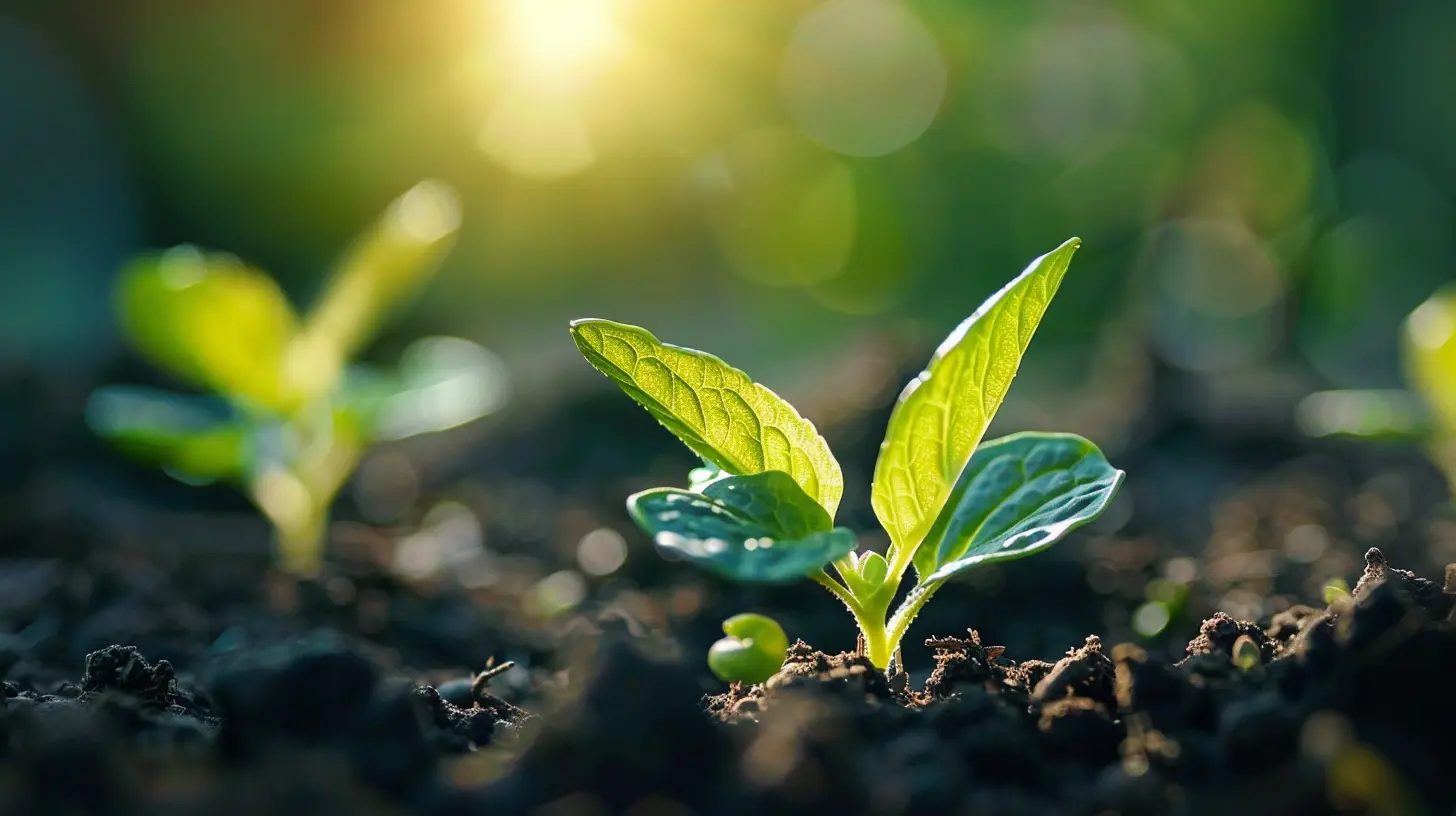 Growing Your Startup with Bootstrap Funding