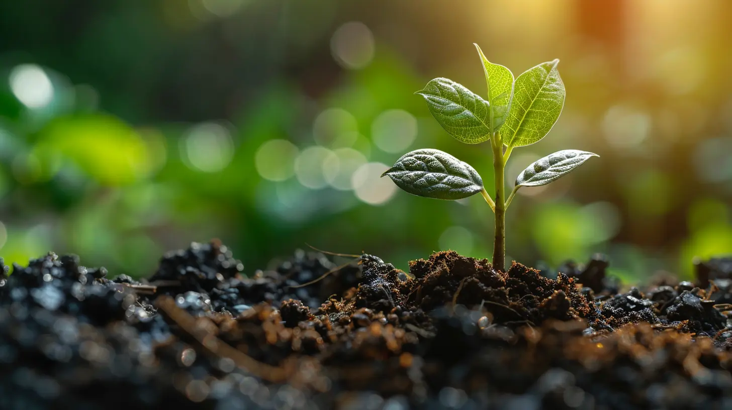 How to Use Scenario Planning to Improve Financial Forecasting