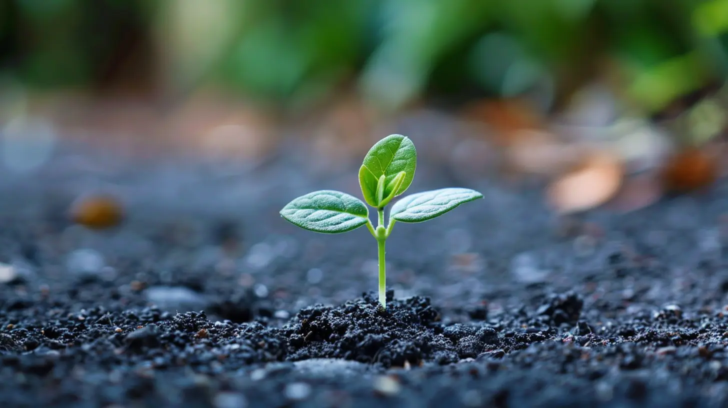 How to Use Your Startup’s Milestones to Attract Investors