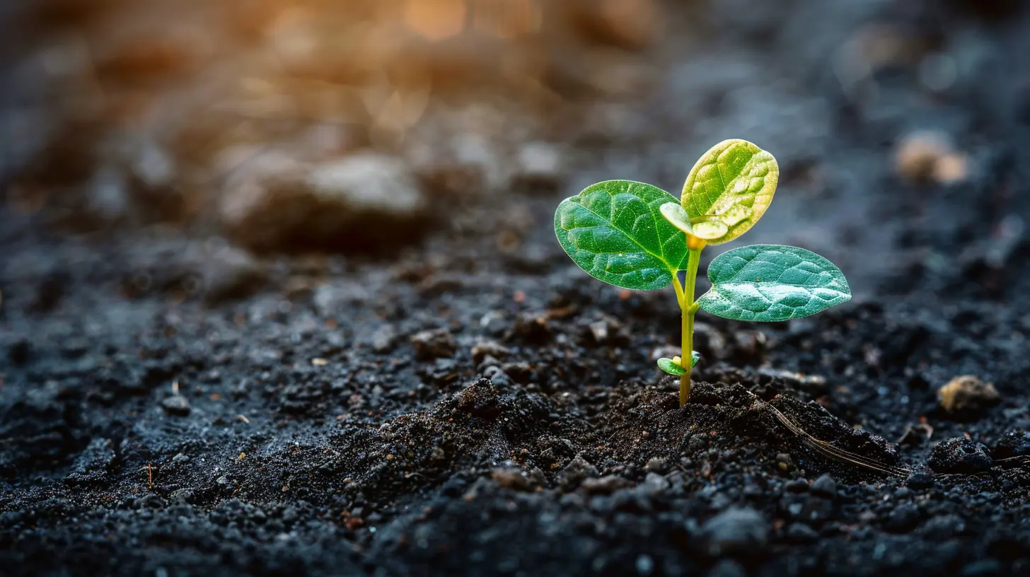 Key Tax Impacts of Starting Your Own Business