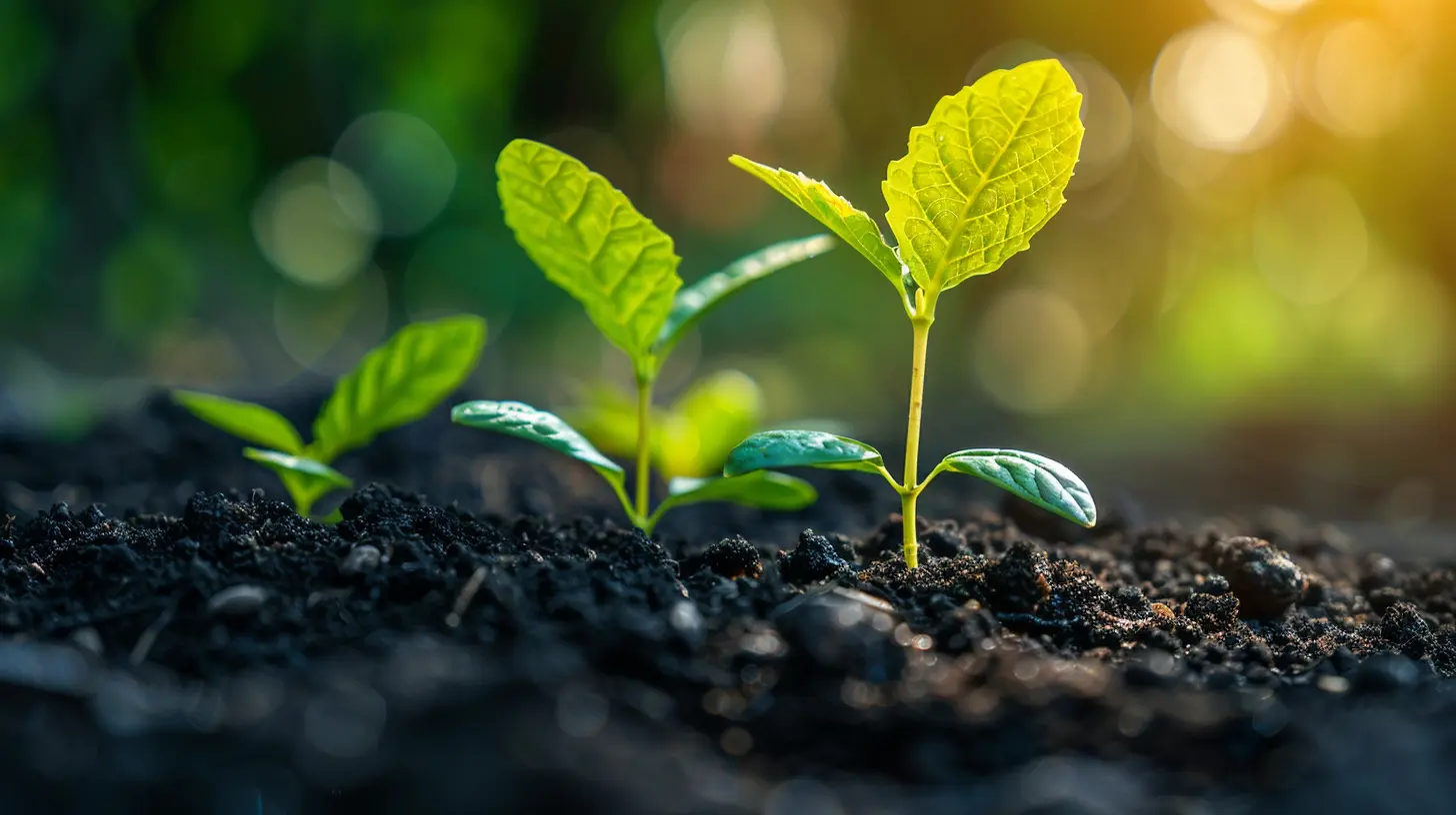 Mastering the Due Diligence Process in Startup Funding