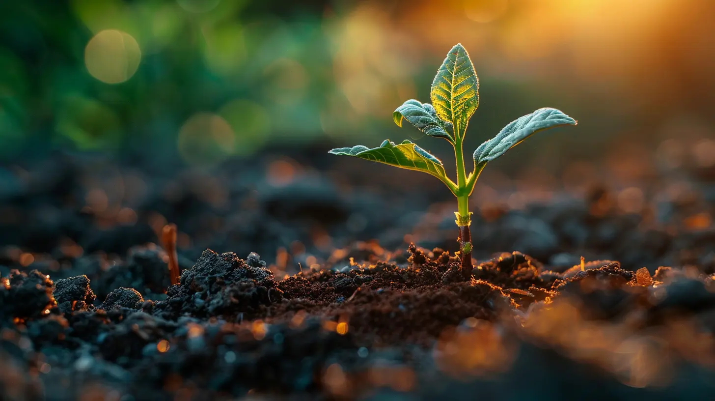 Tax Efficiency Strategies for Small Business Owners