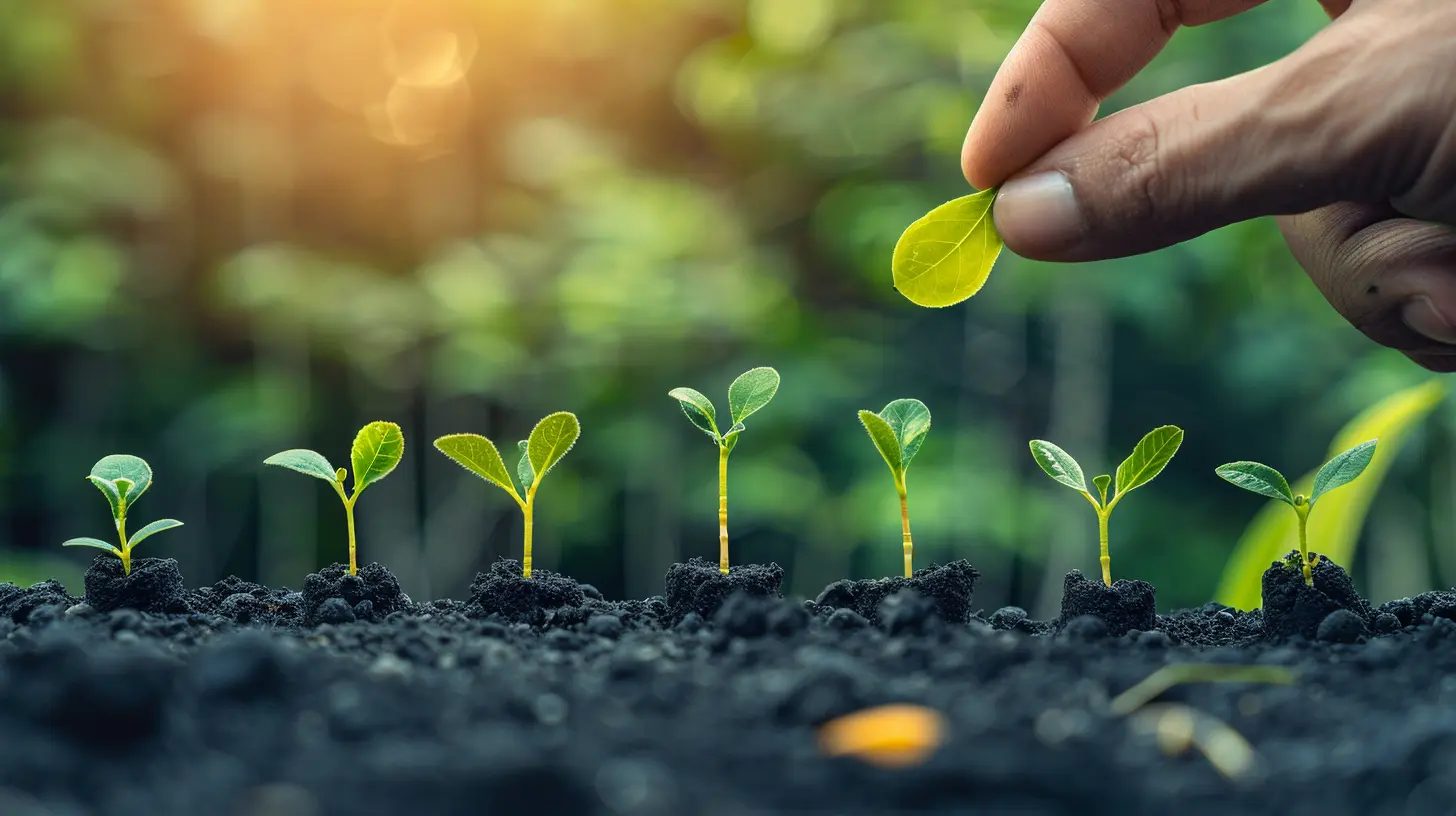 The Power of Networking in Securing Seed Funding