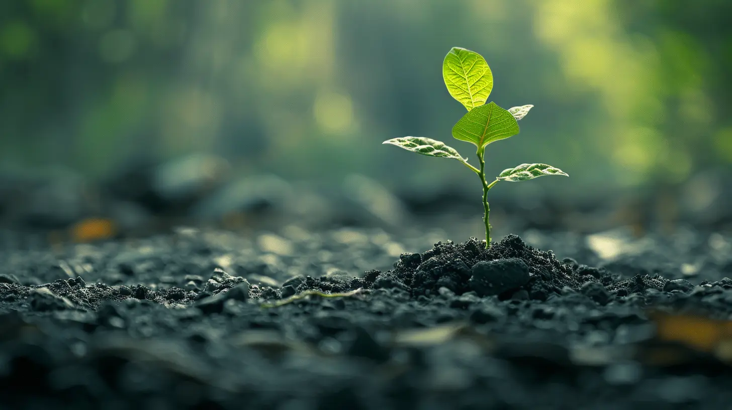 Tips for Raising Money from Impact Investors