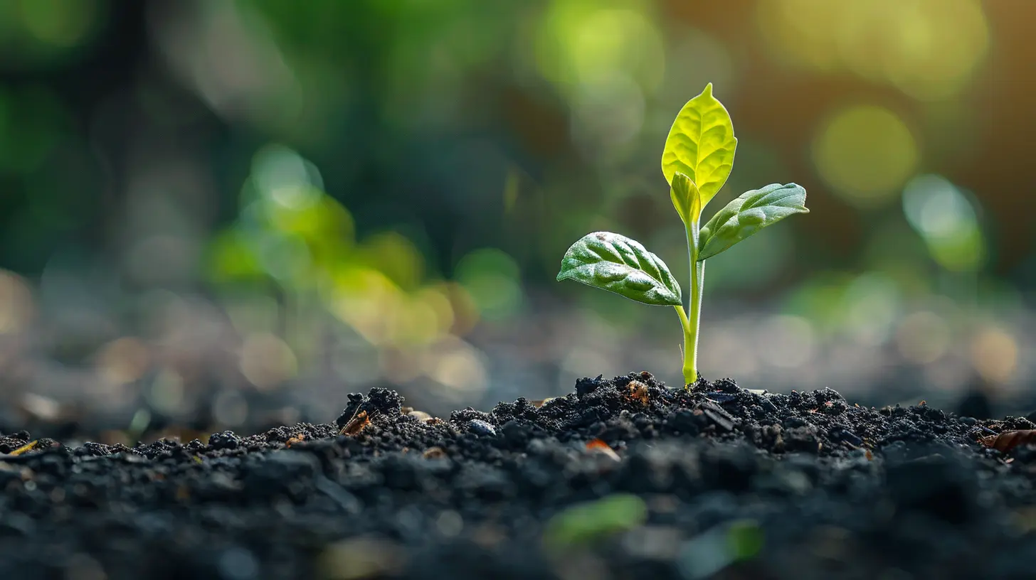 Understanding the Risks and Rewards of Entrepreneurship for Wealth Creation