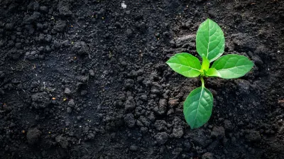Accelerator Programs: Are They Worth the Investment?