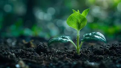 Avoiding Common Mistakes When Raising Seed Capital