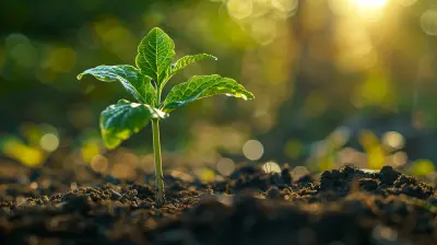 Avoiding Common Mistakes When Raising Seed Capital