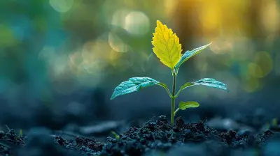 Avoiding Common Mistakes When Raising Seed Capital