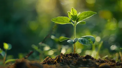 Avoiding Common Mistakes When Raising Seed Capital