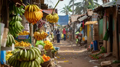 Fundraising in Emerging Markets: Challenges and Opportunities