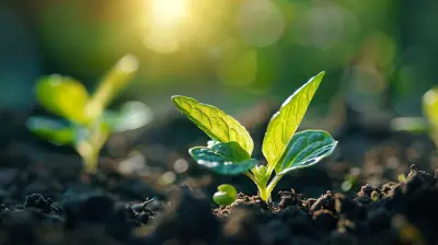 Growing Your Startup with Bootstrap Funding