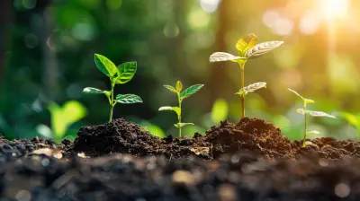 How Economic Cycles Affect Your Investment Strategy