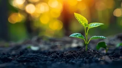 How Market Validation Can Help Secure Startup Funding