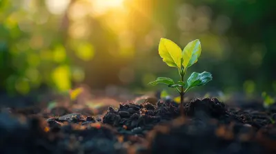 How to Build a Solid Financial Foundation for Your Startup