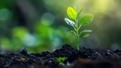 How to Use Your Startup’s Milestones to Attract Investors