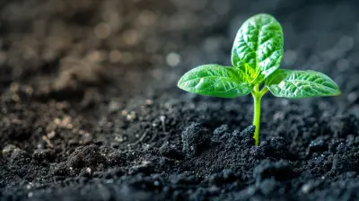 Raising Capital with Purpose: How Social Impact Startups Can Secure Funding