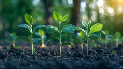 Seed Funding 101: A Guide for New Entrepreneurs