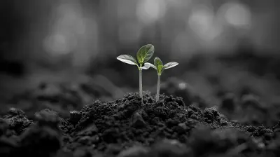 Seed Funding 101: A Guide for New Entrepreneurs