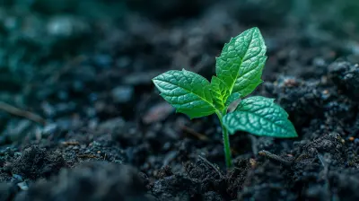 Seed Funding 101: A Guide for New Entrepreneurs