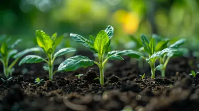 Seed Funding 101: A Guide for New Entrepreneurs