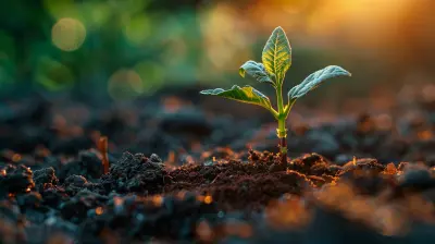 Tax Efficiency Strategies for Small Business Owners