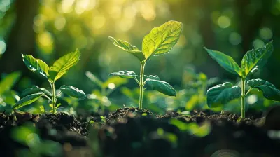 The Benefits of Tax-Deferred Savings Accounts Explained