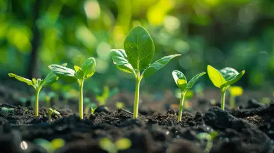 The Future Of Seed Funding In The Startup Ecosystem