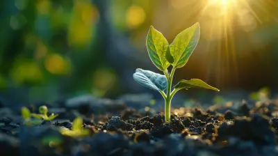 The Future of Seed Funding in the Startup Ecosystem