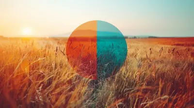 The Link Between Economic Phases and Asset Allocation