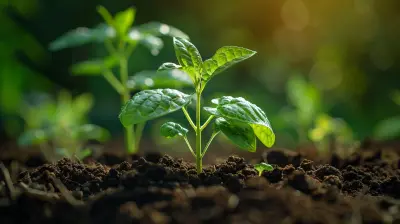 The Role of Co-Investments in Startup Financing