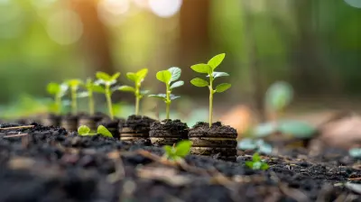 Venture Debt vs. Equity: What’s Best for Your Startup?