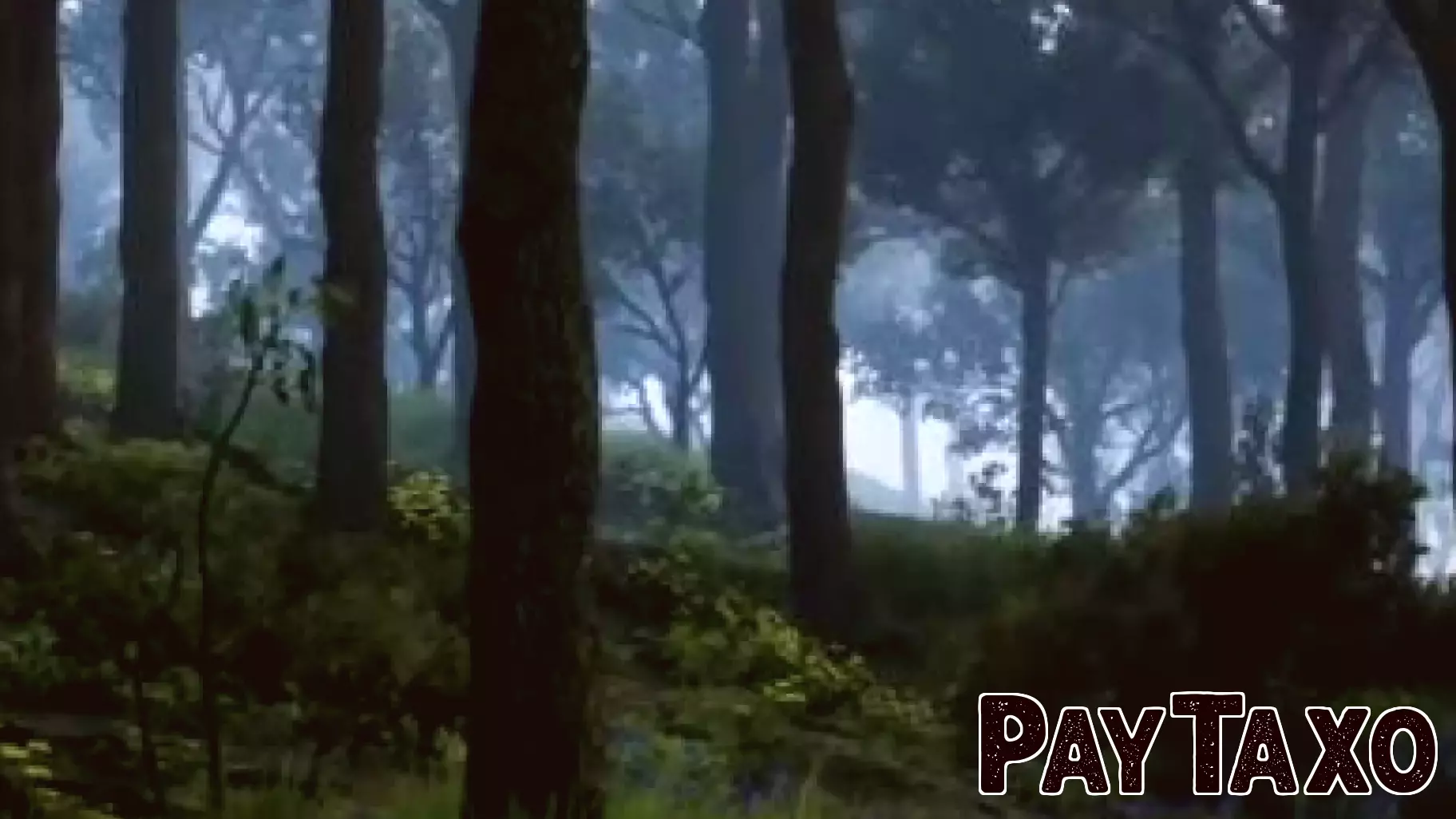 Ashes of Creation investor accuses Intrepid’s Steven Sharif of fraud and financial malfeasance