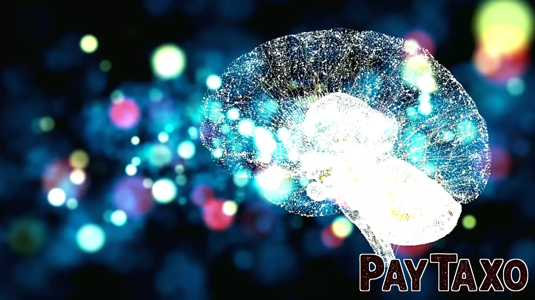 Could Nvidia Stock Turn $10,000 Into $1 Million This Decade?