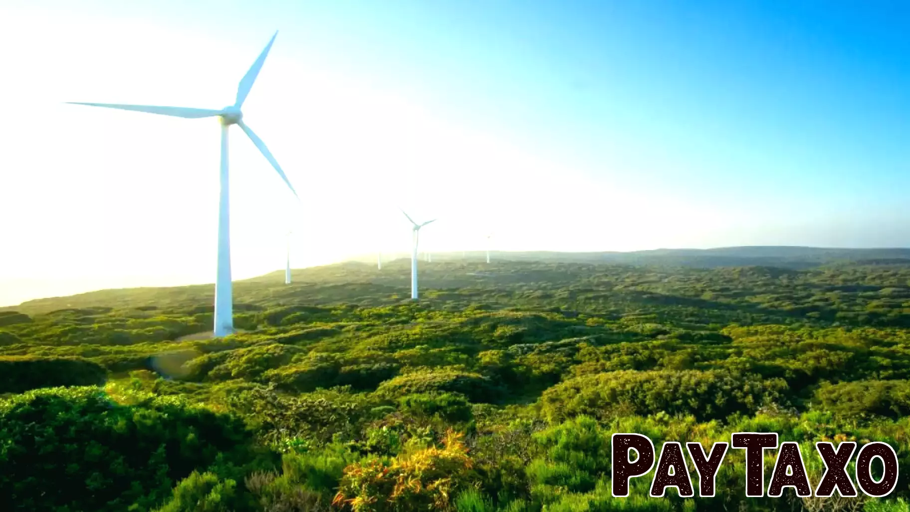 Financing Secured for Major Wind Farm Project in Egypt