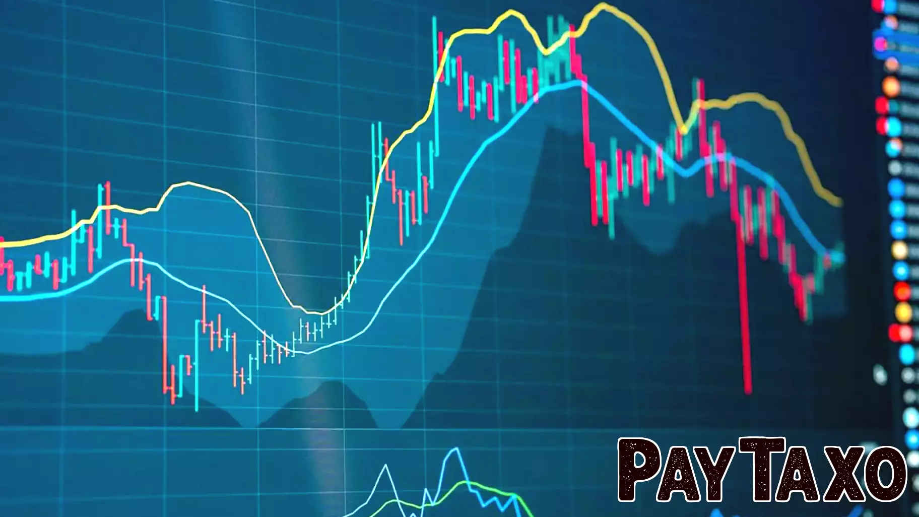 Focus on Individual Stocks Over ETFs in the Magnificent Seven