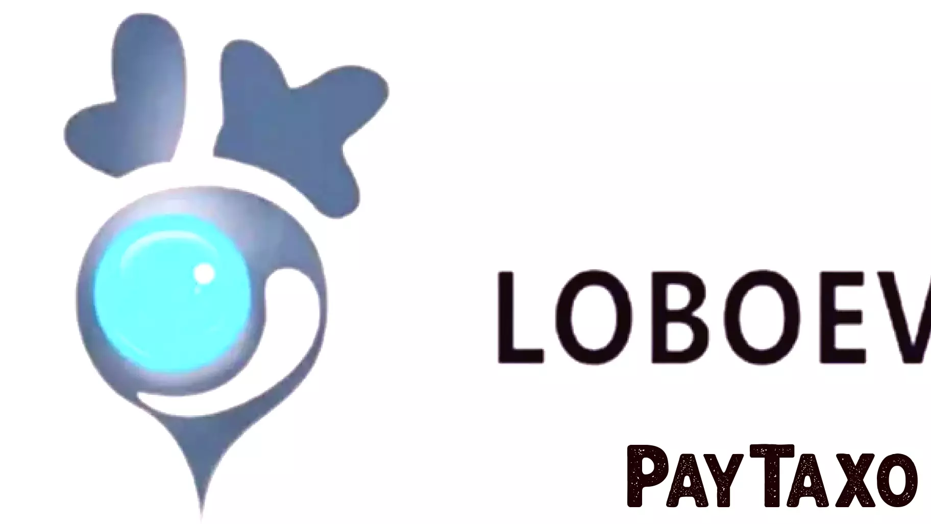 LOBO TECHNOLOGIES LTD. Announces First Half of Fiscal Year 2026 Financial Results