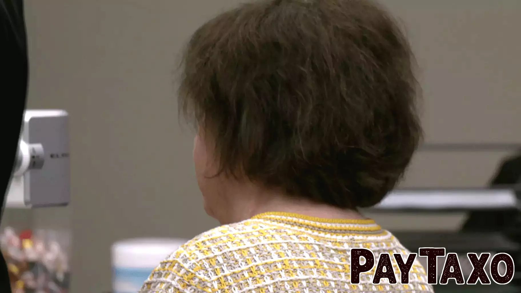 Michigan Woman Penalized for Deceptive Statements in Campaign Finance Case