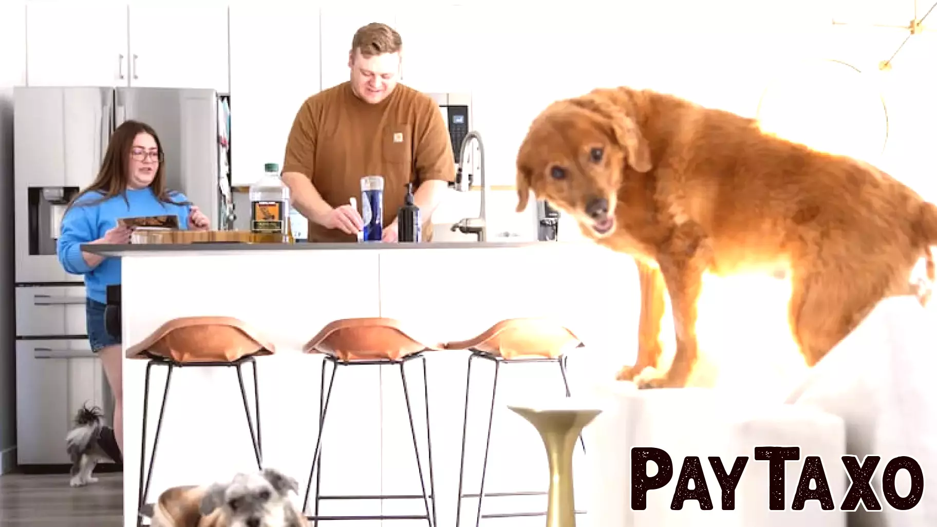 Rising Financial Pressures: Inflation and Job Market Woes Affect Households