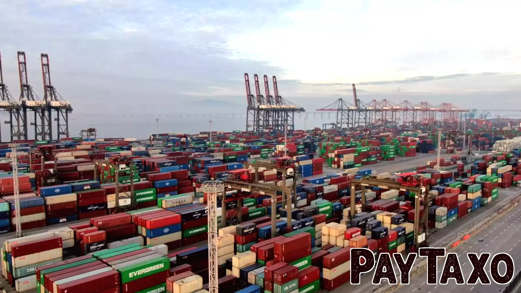 Surge in Tariff Discussions During Corporate Earnings Calls