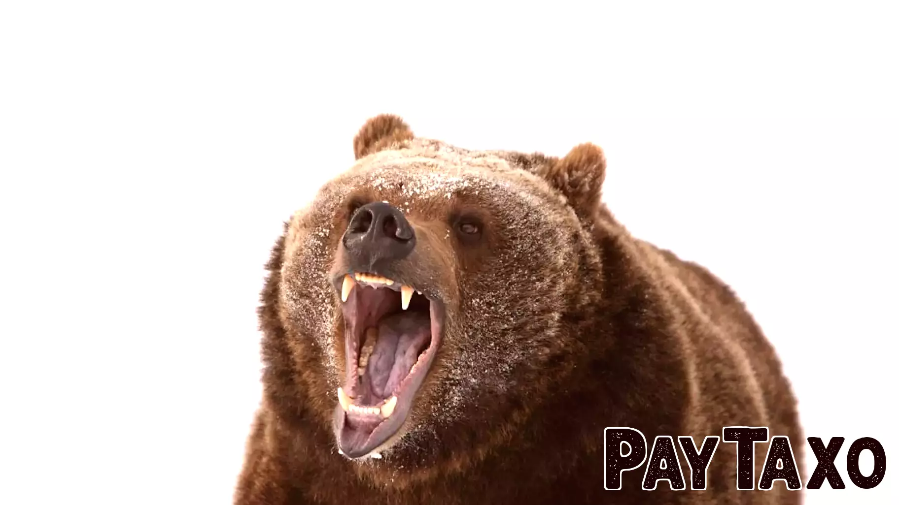 Wall Street Adjusts Stock Outlook for 2025