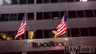 BlackRock Predicts Continued Outperformance of US Stocks in 2025