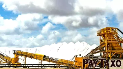 Examining the Correlation Between Imdex's Stock Performance and Its Financial Well-Being