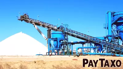 Havilah Resources Limited's Earnings Report Raises Concerns Among Shareholders