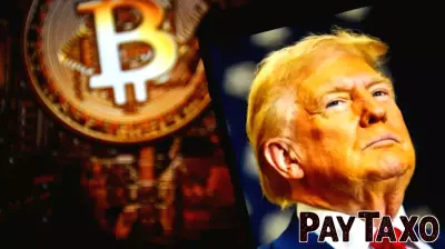 Investment CEO Warns Speculative Memecoins Are Damaging Crypto Market Confidence